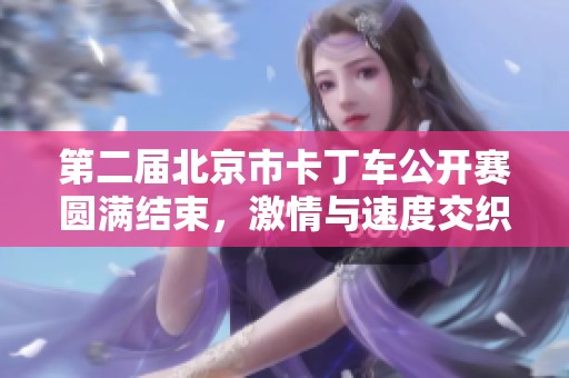 第二届北京市卡丁车公开赛圆满结束，激情与速度交织的赛车盛典
