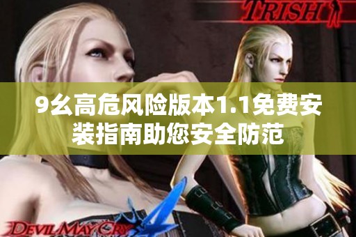 9幺高危风险版本1.1免费安装指南助您安全防范