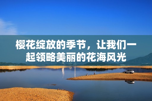 樱花绽放的季节，让我们一起领略美丽的花海风光