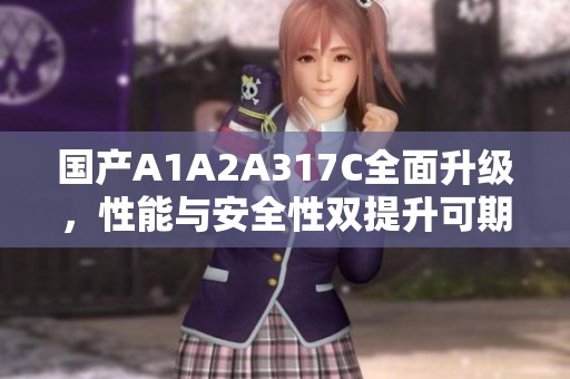 国产A1A2A317C全面升级，性能与安全性双提升可期