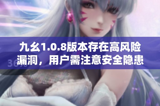 九幺1.0.8版本存在高风险漏洞，用户需注意安全隐患