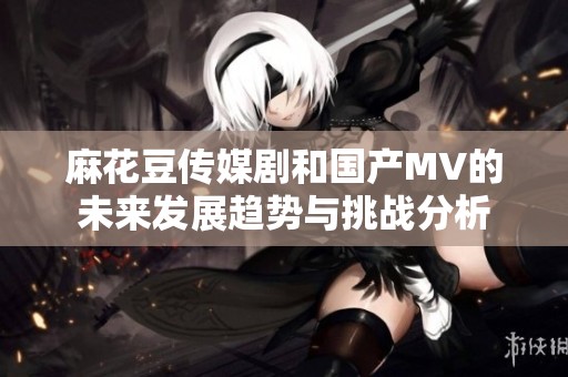 麻花豆传媒剧和国产MV的未来发展趋势与挑战分析
