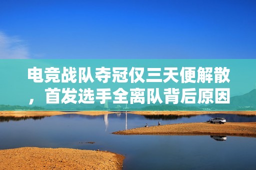电竞战队夺冠仅三天便解散，首发选手全离队背后原因揭秘