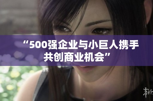 “500强企业与小巨人携手共创商业机会”