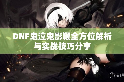 DNF鬼泣鬼影鞭全方位解析与实战技巧分享