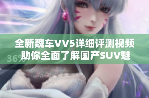 全新魏车VV5详细评测视频 助你全面了解国产SUV魅力