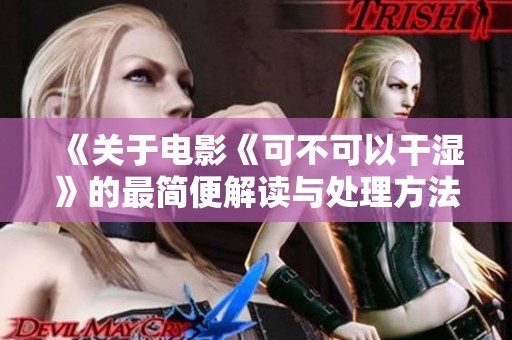 《关于电影《可不可以干湿》的最简便解读与处理方法》