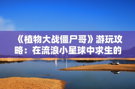 《植物大战僵尸哥》游玩攻略：在流浪小星球中求生的奇妙冒险