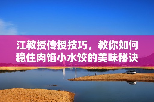 江教授传授技巧，教你如何稳住肉馅小水饺的美味秘诀