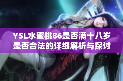 YSL水蜜桃86是否满十八岁是否合法的详细解析与探讨