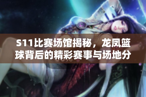 S11比赛场馆揭秘，龙凤篮球背后的精彩赛事与场地分析
