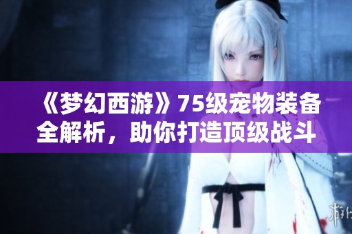 《梦幻西游》75级宠物装备全解析，助你打造顶级战斗伙伴