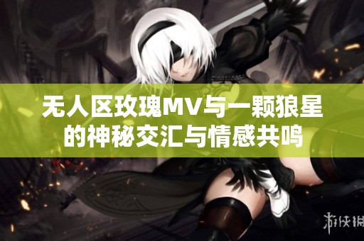 无人区玫瑰MV与一颗狼星的神秘交汇与情感共鸣