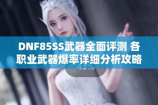 DNF85SS武器全面评测 各职业武器爆率详细分析攻略