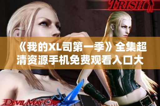 《我的XL司第一季》全集超清资源手机免费观看入口大揭秘
