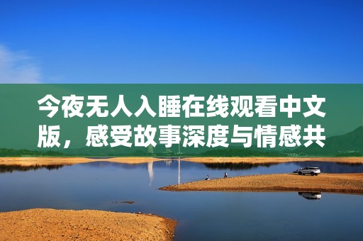 今夜无人入睡在线观看中文版，感受故事深度与情感共鸣