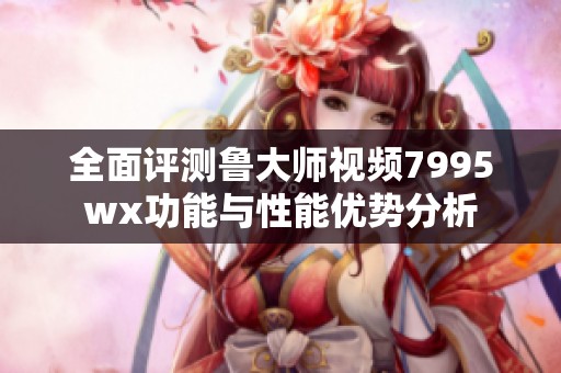 全面评测鲁大师视频7995wx功能与性能优势分析