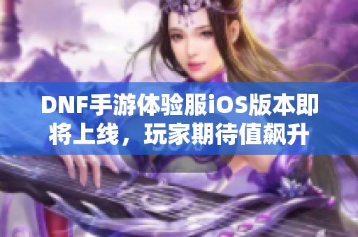 DNF手游体验服iOS版本即将上线，玩家期待值飙升