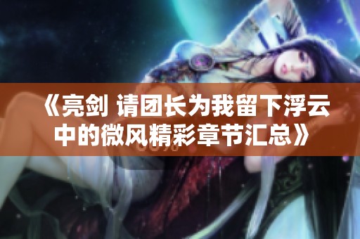 《亮剑 请团长为我留下浮云中的微风精彩章节汇总》