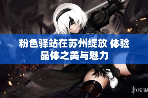 粉色驿站在苏州绽放 体验晶体之美与魅力
