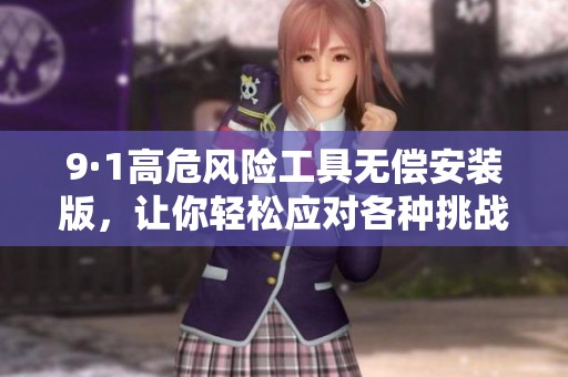 9·1高危风险工具无偿安装版，让你轻松应对各种挑战