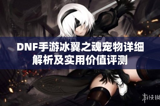 DNF手游冰翼之魂宠物详细解析及实用价值评测