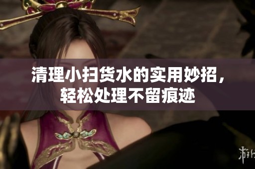 清理小扫货水的实用妙招，轻松处理不留痕迹