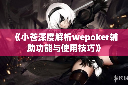 《小苍深度解析wepoker辅助功能与使用技巧》