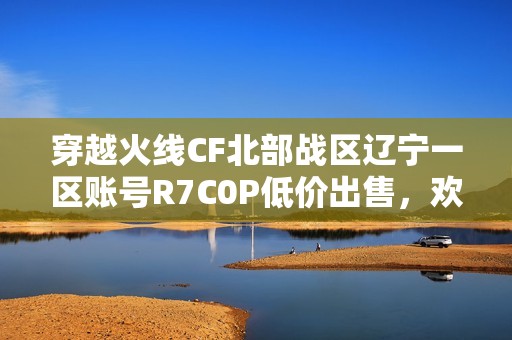 穿越火线CF北部战区辽宁一区账号R7C0P低价出售，欢迎咨询！