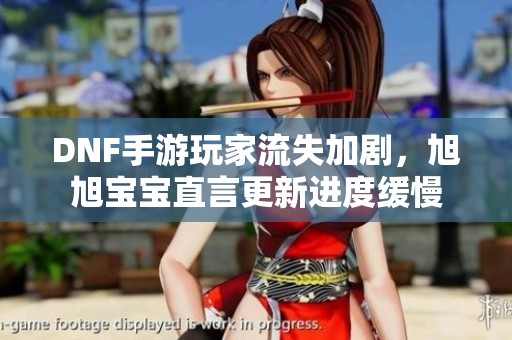 DNF手游玩家流失加剧，旭旭宝宝直言更新进度缓慢