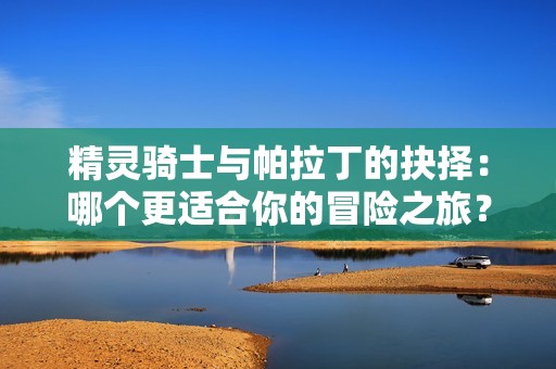 精灵骑士与帕拉丁的抉择：哪个更适合你的冒险之旅？