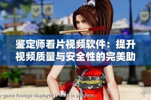 鉴定师看片视频软件：提升视频质量与安全性的完美助手