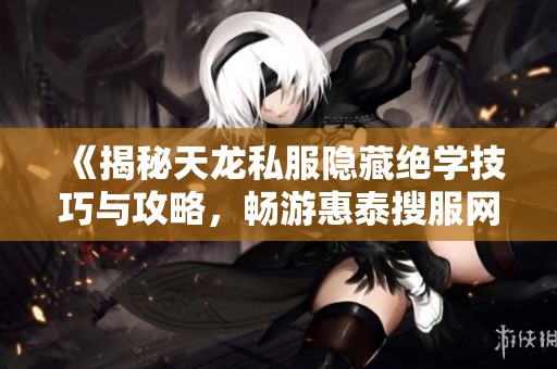《揭秘天龙私服隐藏绝学技巧与攻略，畅游惠泰搜服网》
