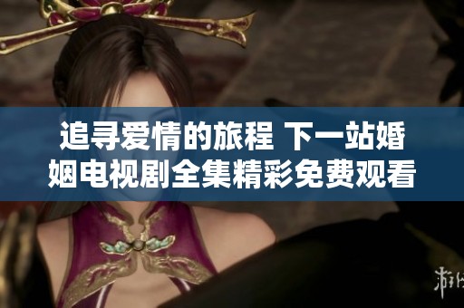 追寻爱情的旅程 下一站婚姻电视剧全集精彩免费观看