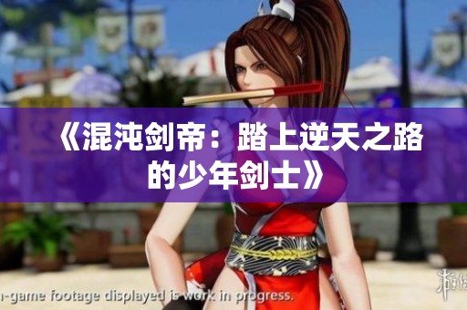 《混沌剑帝：踏上逆天之路的少年剑士》