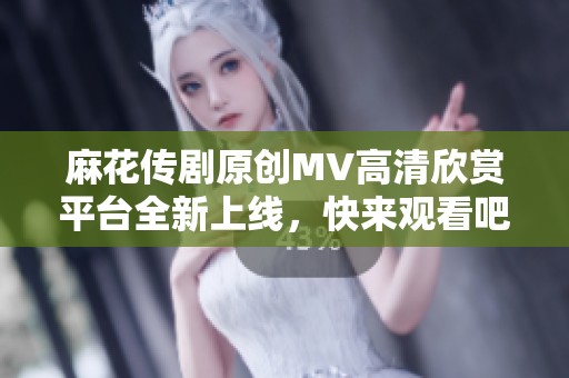 麻花传剧原创MV高清欣赏平台全新上线，快来观看吧