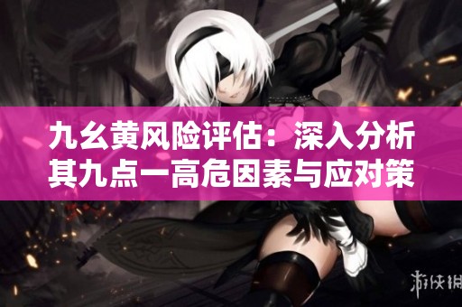 九幺黄风险评估：深入分析其九点一高危因素与应对策略