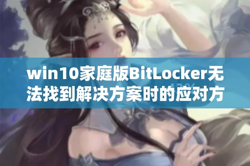 win10家庭版BitLocker无法找到解决方案时的应对方法与技巧