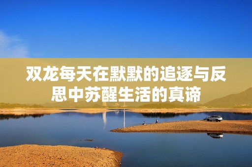 双龙每天在默默的追逐与反思中苏醒生活的真谛