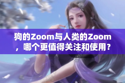 狗的Zoom与人类的Zoom，哪个更值得关注和使用？