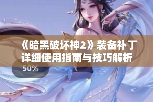 《暗黑破坏神2》装备补丁详细使用指南与技巧解析