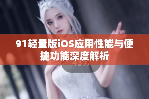 91轻量版iOS应用性能与便捷功能深度解析