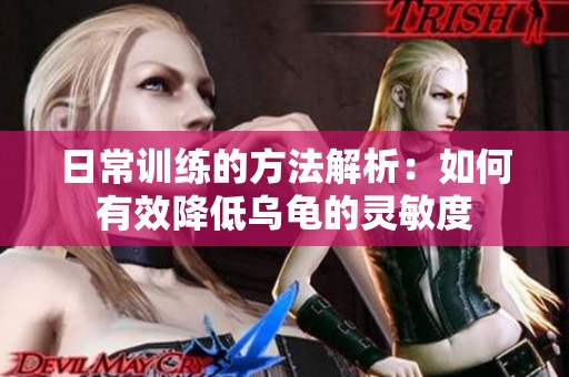 日常训练的方法解析：如何有效降低乌龟的灵敏度