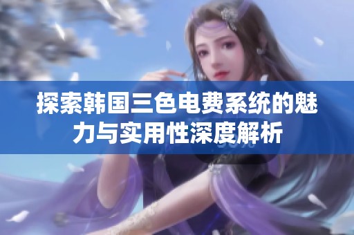 探索韩国三色电费系统的魅力与实用性深度解析