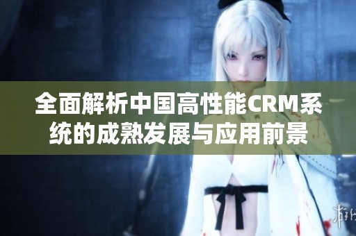 全面解析中国高性能CRM系统的成熟发展与应用前景
