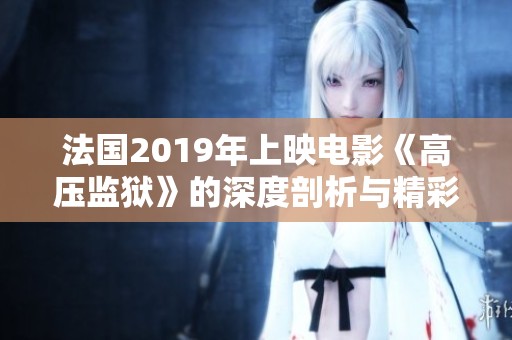 法国2019年上映电影《高压监狱》的深度剖析与精彩点评