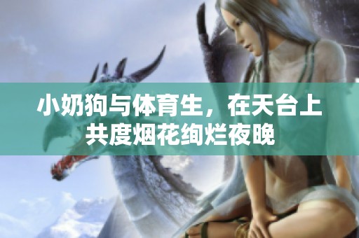 小奶狗与体育生，在天台上共度烟花绚烂夜晚