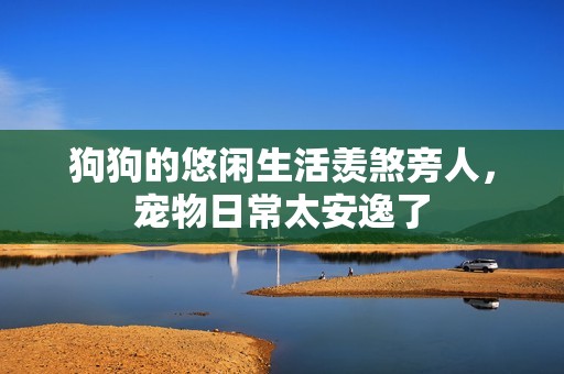 狗狗的悠闲生活羡煞旁人，宠物日常太安逸了