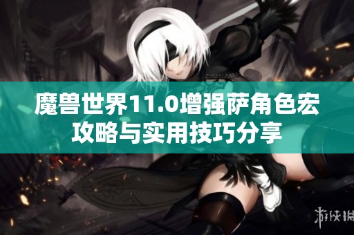 魔兽世界11.0增强萨角色宏攻略与实用技巧分享