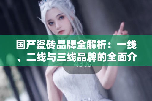 国产瓷砖品牌全解析：一线、二线与三线品牌的全面介绍